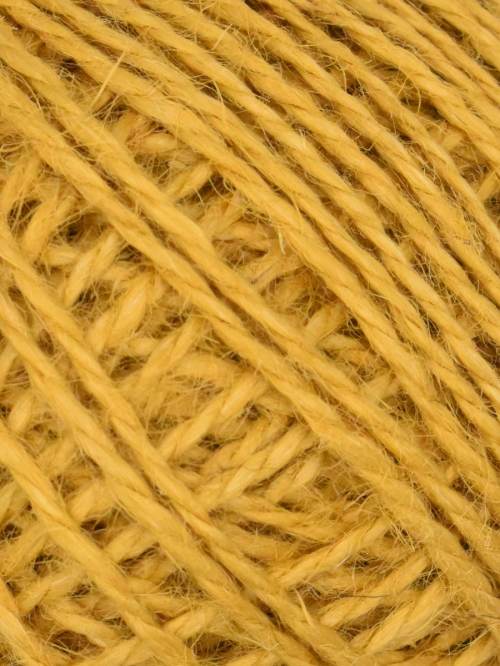 Jute