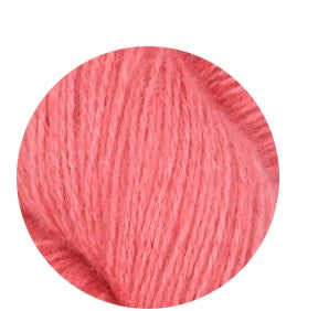 Qori
